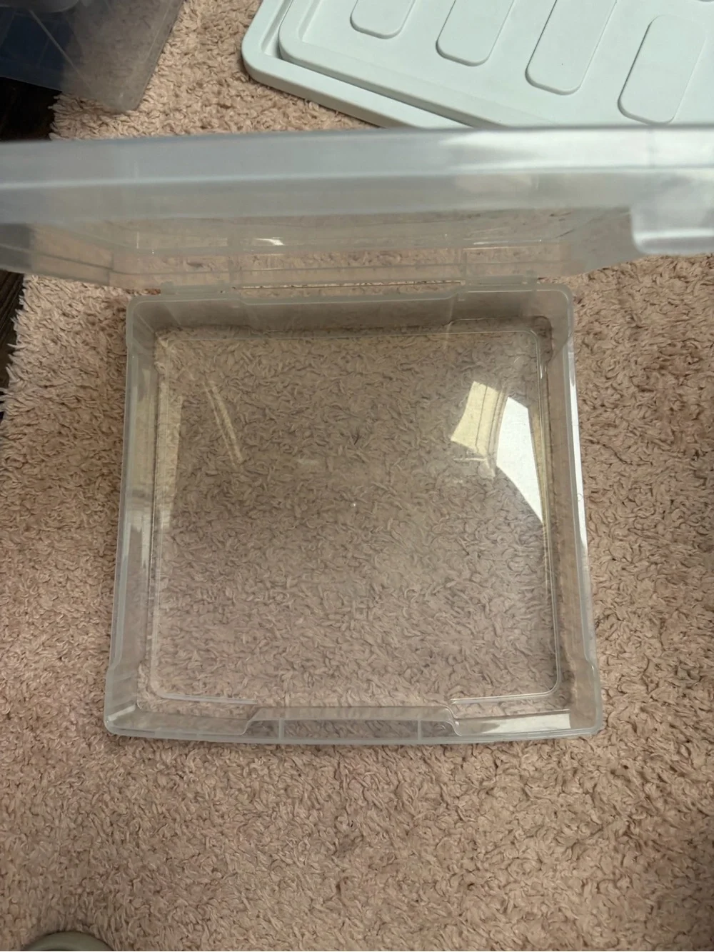 Clear Square Plastic Lid - Translucent Storage Cover